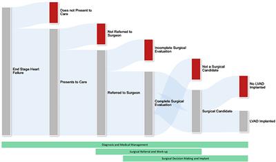 Sex-based considerations for implementation of ventricular assist device therapy